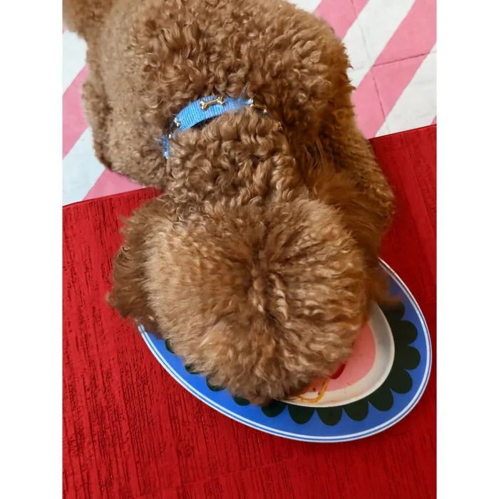 Bad Manners Porcelain Oval Plate - 5