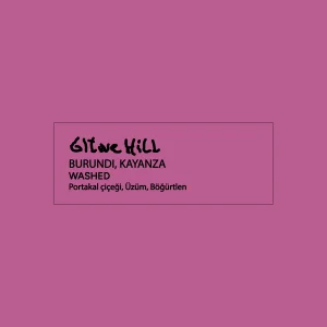 Gitwe Hill Burundi Kayanza Washed Coffee Beans - 5