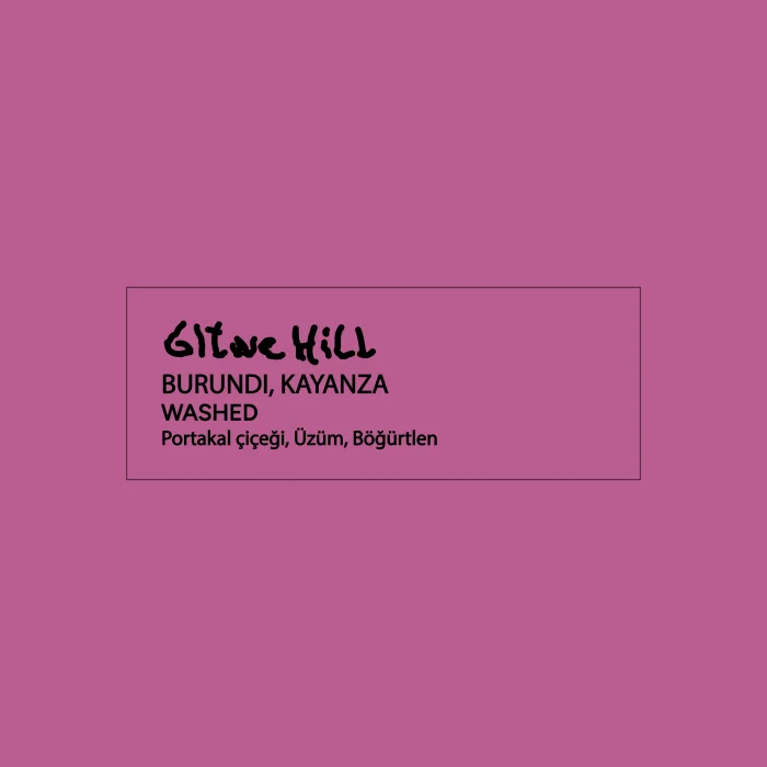 Gitwe Hill Burundi Kayanza Washed Coffee Beans - 5