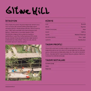 Gitwe Hill Burundi Kayanza Washed Coffee Beans - 3