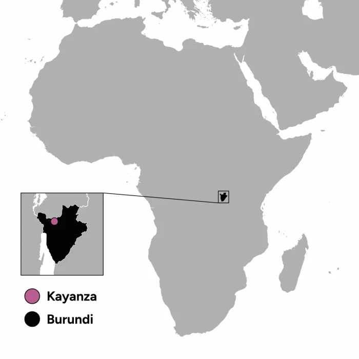 Gitwe Hill Burundi Kayanza Washed Coffee Beans - 4