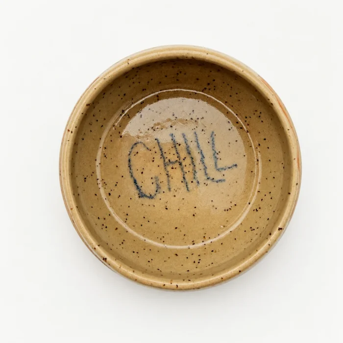Chill Cat Patterned Handmade Bowl - 4