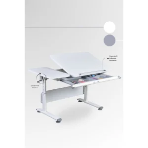 Vega Basic Eğim ve Yükseklik Ayarlı Gri Çalışma Masası - 4