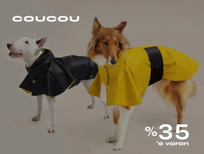 campaign